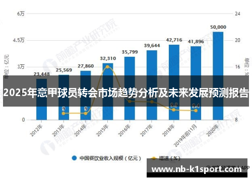 2025年意甲球员转会市场趋势分析及未来发展预测报告