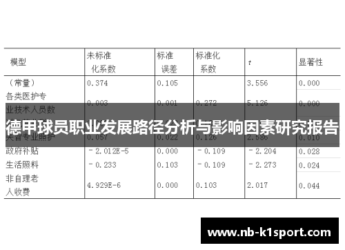 德甲球员职业发展路径分析与影响因素研究报告