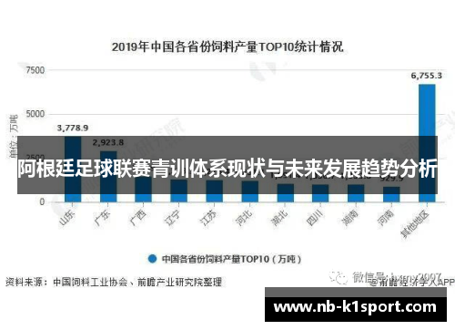 阿根廷足球联赛青训体系现状与未来发展趋势分析