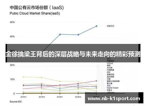 金徐擒梁王背后的深层战略与未来走向的精彩预测