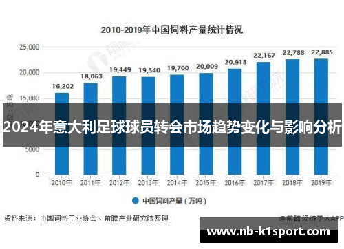 2024年意大利足球球员转会市场趋势变化与影响分析