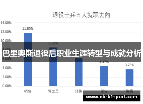 巴里奥斯退役后职业生涯转型与成就分析