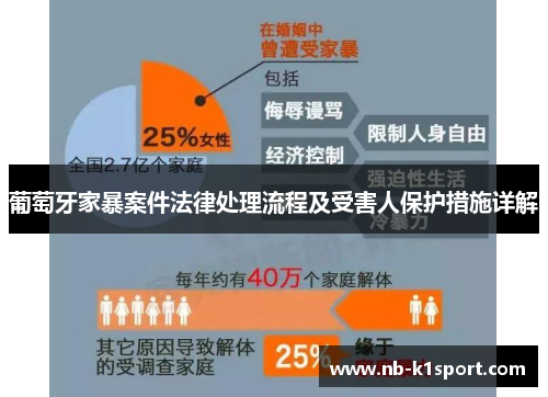 葡萄牙家暴案件法律处理流程及受害人保护措施详解