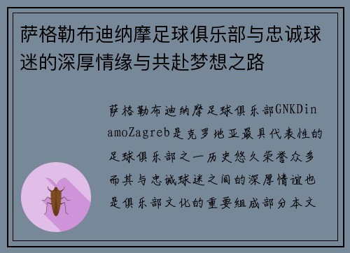 萨格勒布迪纳摩足球俱乐部与忠诚球迷的深厚情缘与共赴梦想之路